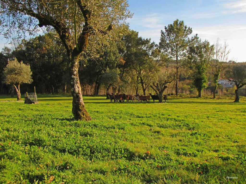 Quinta Do Cerquito Villa Ferreira do Zezere Exterior photo